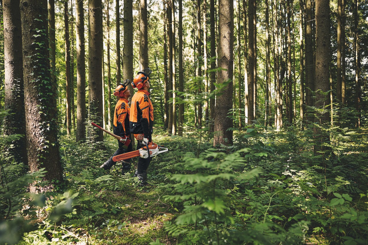 Історія STIHL