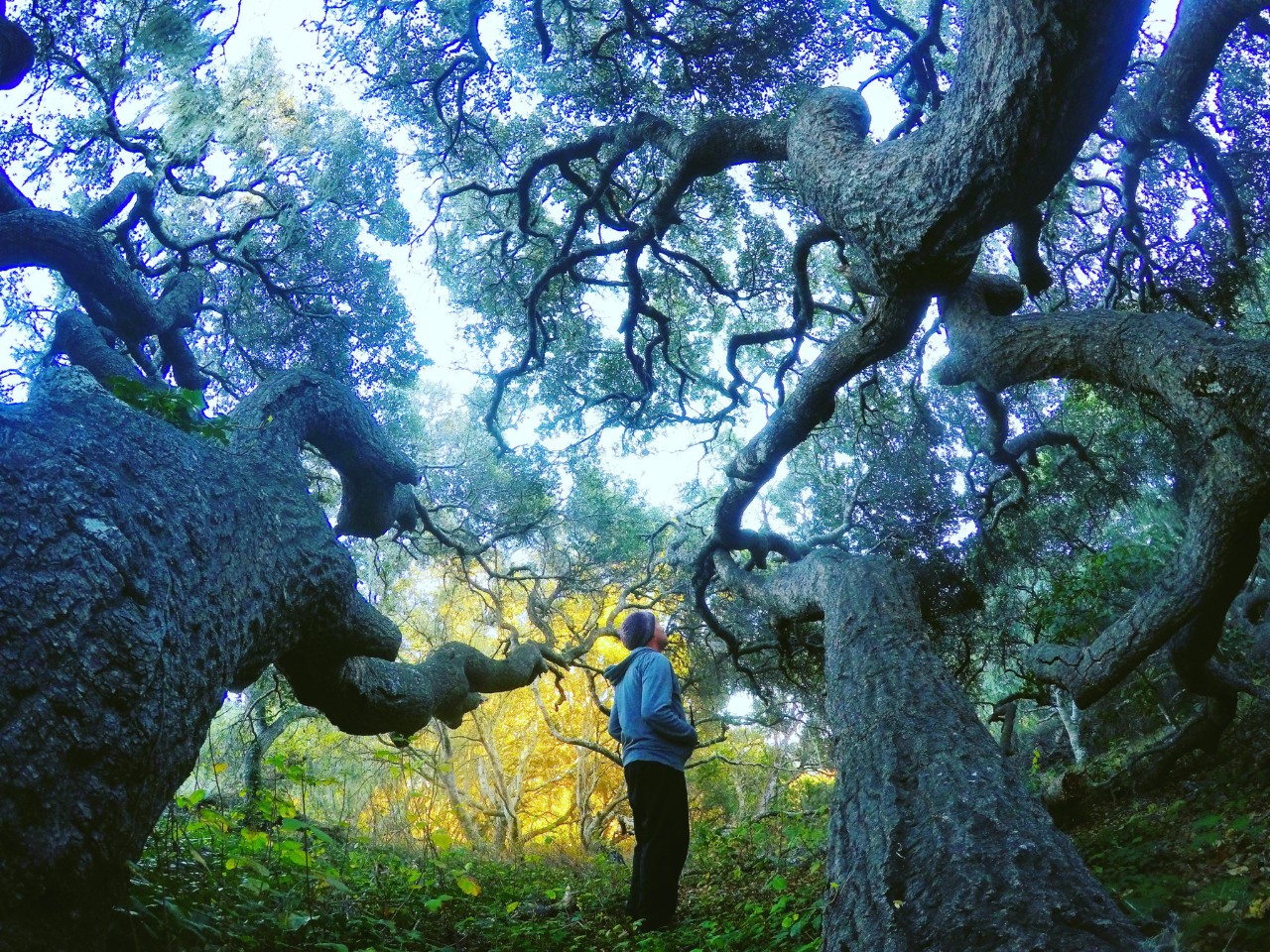 Вебсайт California-state-parks_HQ_P_2022-05-0001